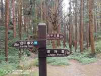 阿里山