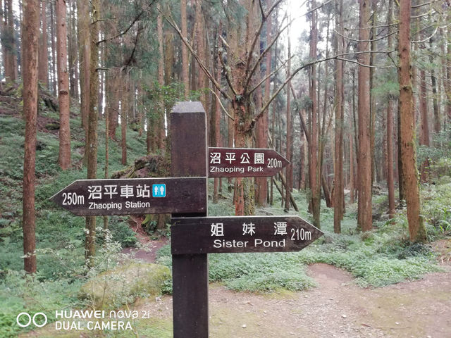 阿里山