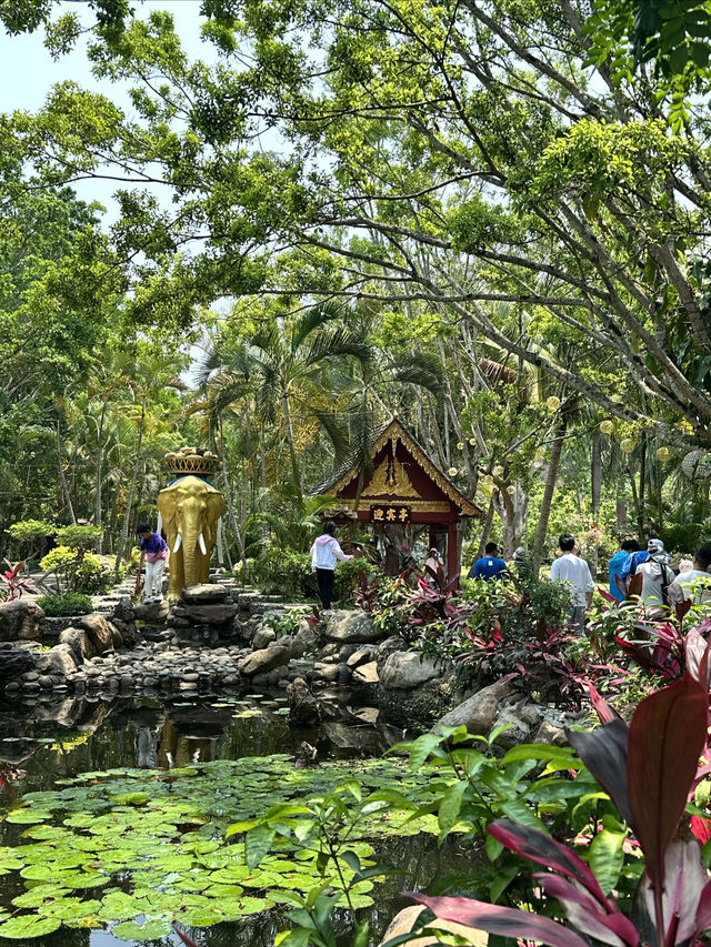 Xishuangbanna summary attractions and culture