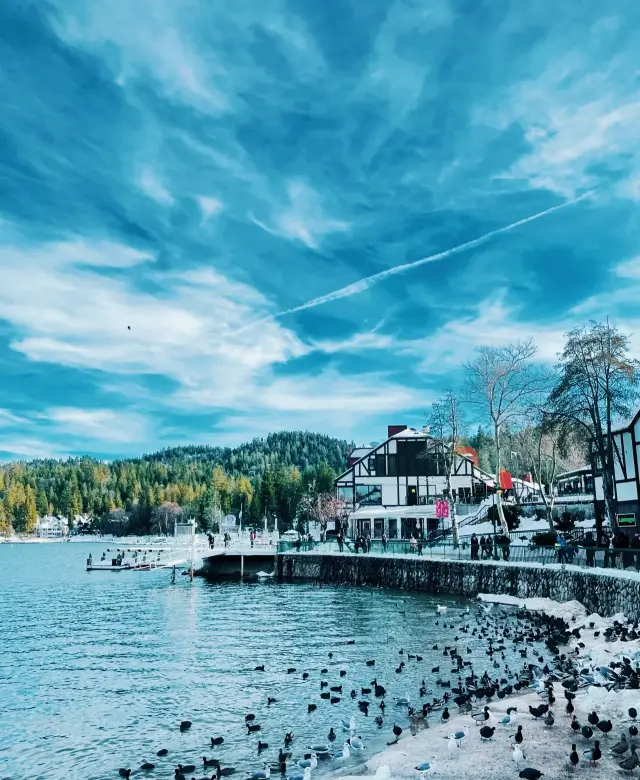 Los Angeles - Nordic-style Arrowhead Lake