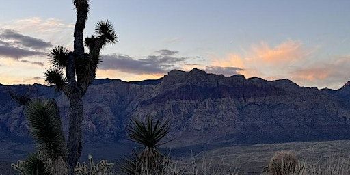 WWE Las Vegas: Fossil Ridge Loop | Cowboy Trail Rides
