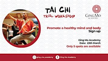 Tai Chi Trial Workshop | Ging Mo Academy