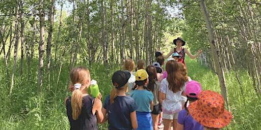 Summer Camp 2024 - Week 1: Woodland Creatures! | Leighton Art Centre