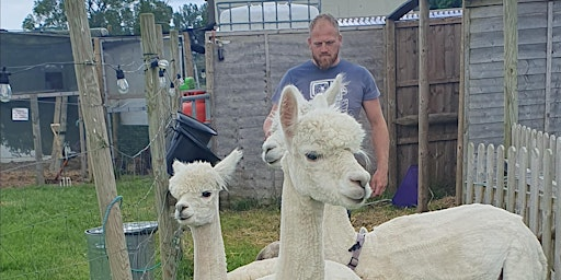 Living the Good Life? | Hoad Meadow Alpaca Retreat