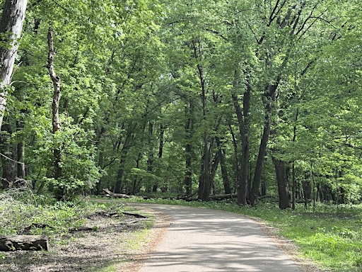 Somatic Work in Nature-Based Therapy | Crosby Farm Regional Park