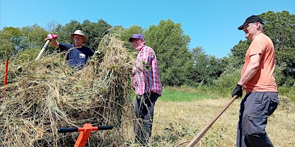 Meadow Management | Foxearth Meadows Nature Reserve