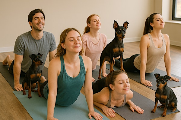 Puppy Yoga - November 9th | Rebarkable Retreat