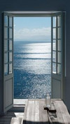 daily한입
