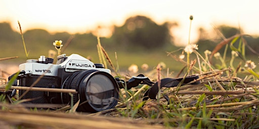 Discover the Art of Nature Photography: A Beginner’s Workshop | Crickley Hill Country Park