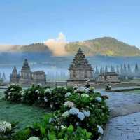 ARJUNA TEMPLE : DIENG