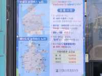 [우도 버스투어🚌]벼락치기 코스 추천