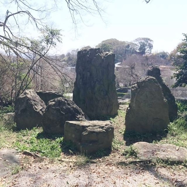 wakayama castle