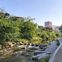 Urban oasis in Seoul