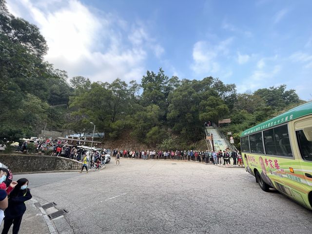 城門水塘 白千層美景