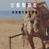 鳥取県のおすすめをご紹介‼️