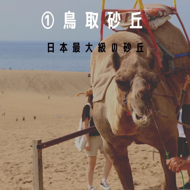 鳥取県のおすすめをご紹介‼️