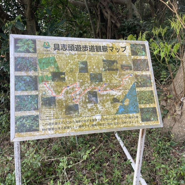 秘境？！【ホロホローの森】森を抜けると。。