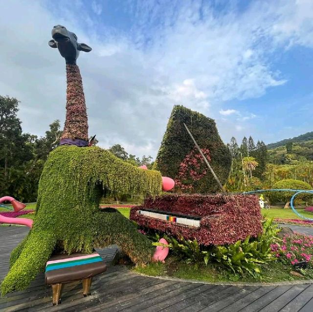 賞花必到的士林官邸玫瑰園🌹🥀