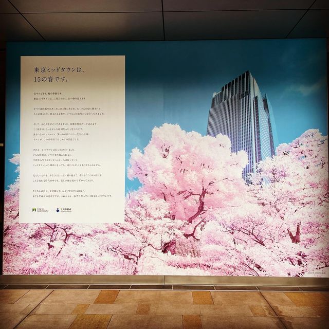 お花見シーズン〜東京ミッドタウン
