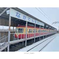 【長野電鉄🚃】特急ゆけむり のんびり号