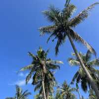 Bodega beach ที่สุดของความสวยบนเกาะพะงัน 