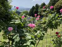 【熊本の秘境レストラン】