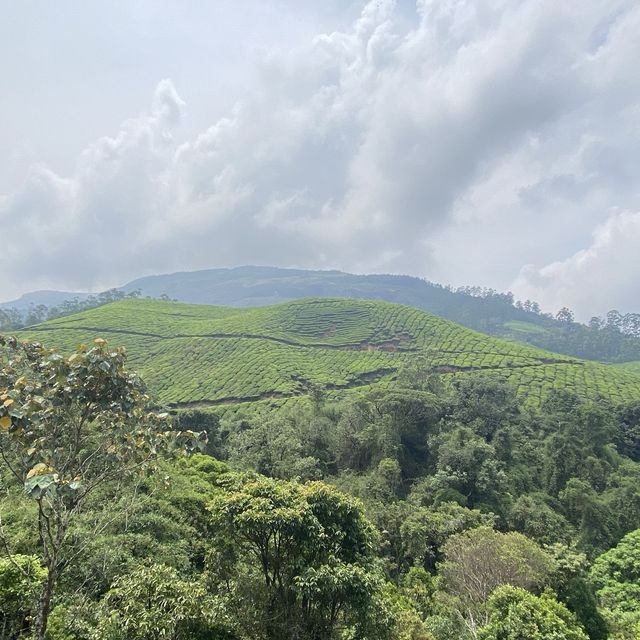 God’s own land