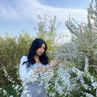 산책하러 가기좋은 공원, 자연을 느낄수 있는 김포핫플🍃