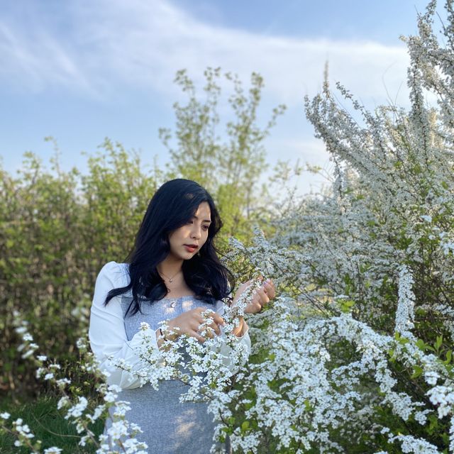 산책하러 가기좋은 공원, 자연을 느낄수 있는 김포핫플🍃