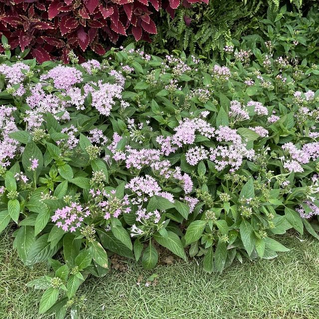 以航海為主題的公園