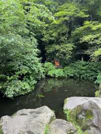 神社のカフェ