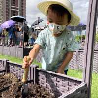 親子活動～「親子農耕樂」🥬🥕🌶