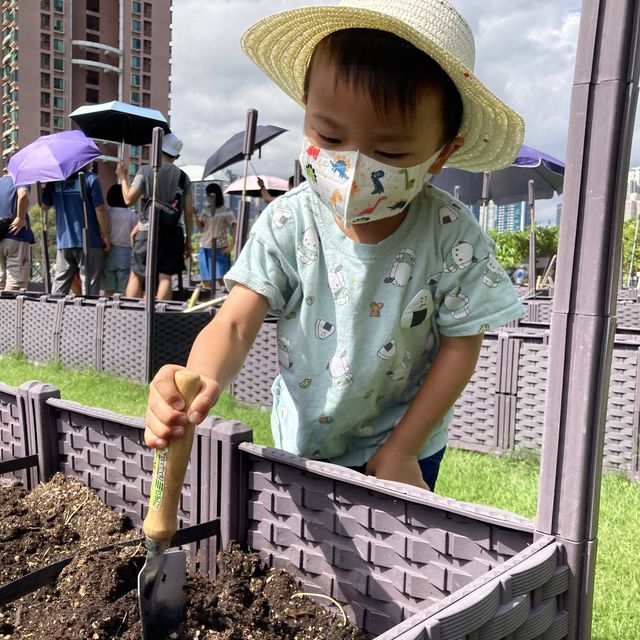 親子活動～「親子農耕樂」🥬🥕🌶
