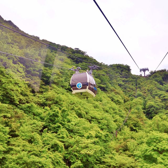 🚡 멋진 풍광을 바라볼 수 있는, 하코네 로프웨이