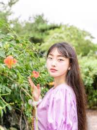 지금 제주는?🍊