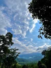 Rumah Hutan Bonda Rozita