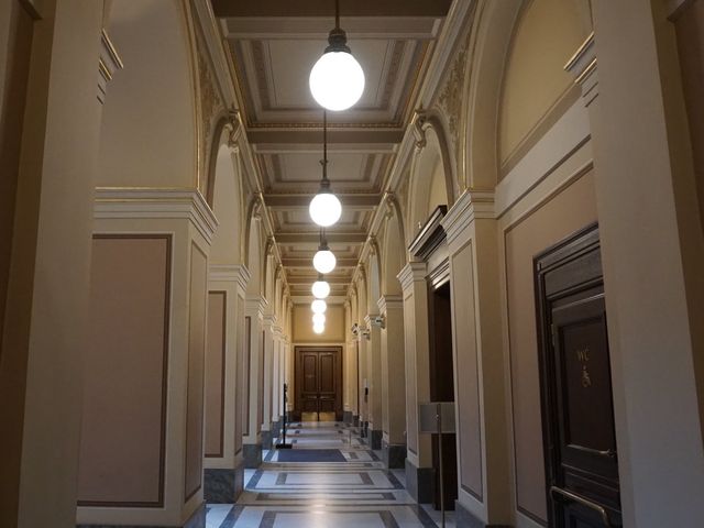 Rudolfinum 