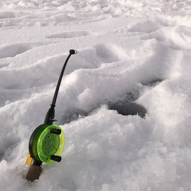 我好掛住系列 - 芬蘭雪中騎馬 + 冰上吊魚 