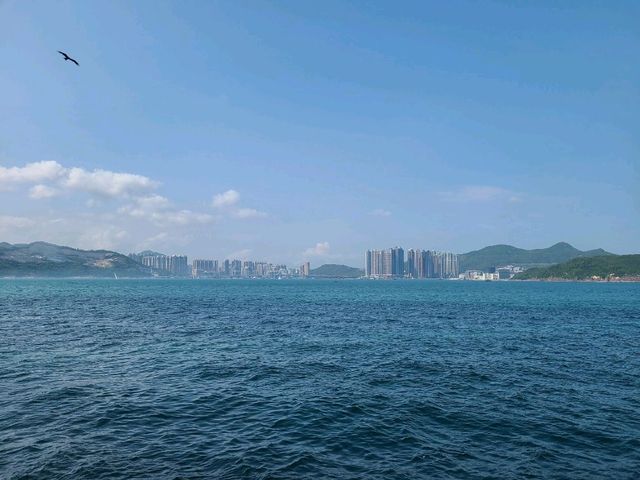 天涯海角大電視📺