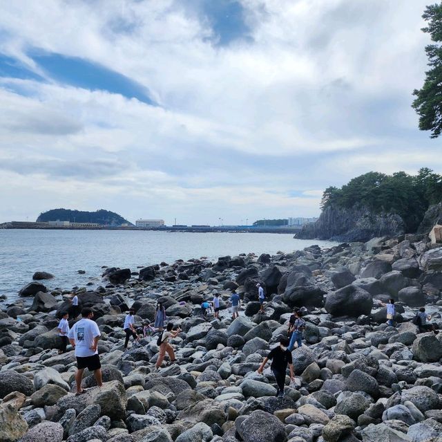 📷 바다로 바로 떨어지는 물줄기, 정방폭포