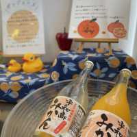 道後へ行くなら泊まるべきホテル