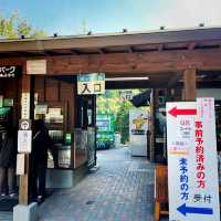 【熊本県】水のカーテンでマイナスイオンを浴びる！
