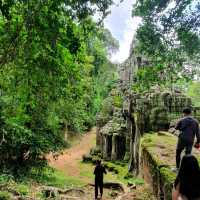 Beautiful Temple  in Siem Reap
