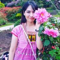 ดอยปุย เชียงใหม่