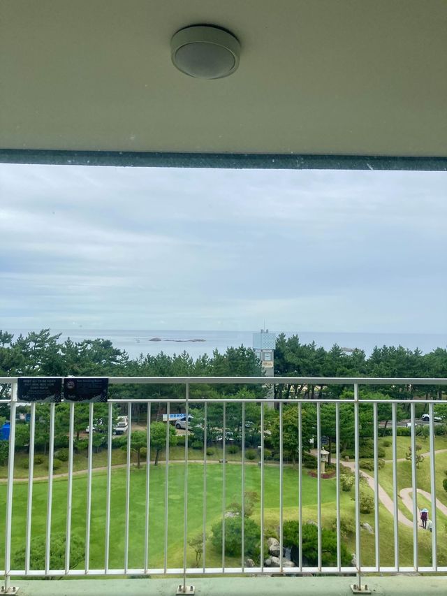 강릉바다뷰 숙소🏖