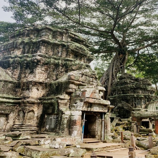 Ta Prohm Temple from Tomb Raider