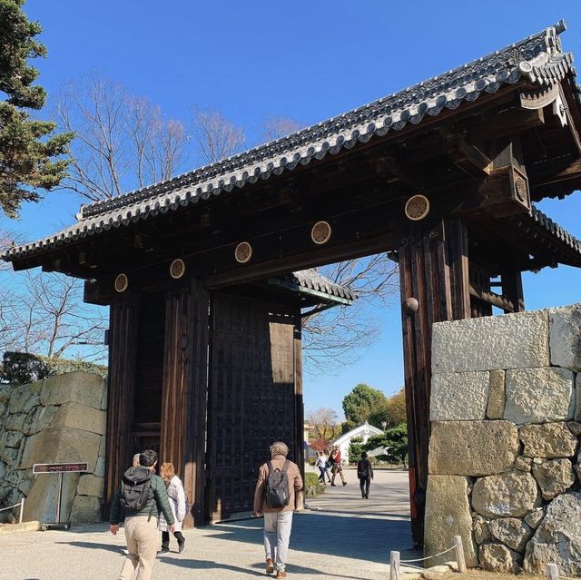 관서지방의 조형미 담당 히메지성 🏰