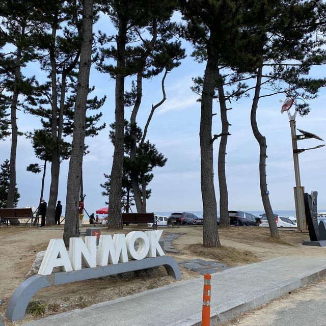 강릉 맛집 뿌셔! 즉흥으로 떠난 여행♫