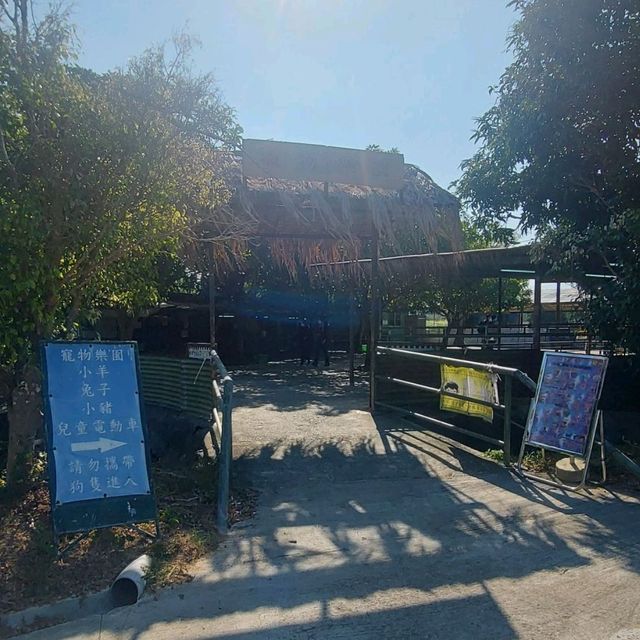 錦田鄉村俱樂部，任摘士多啤梨，大草地逛奔