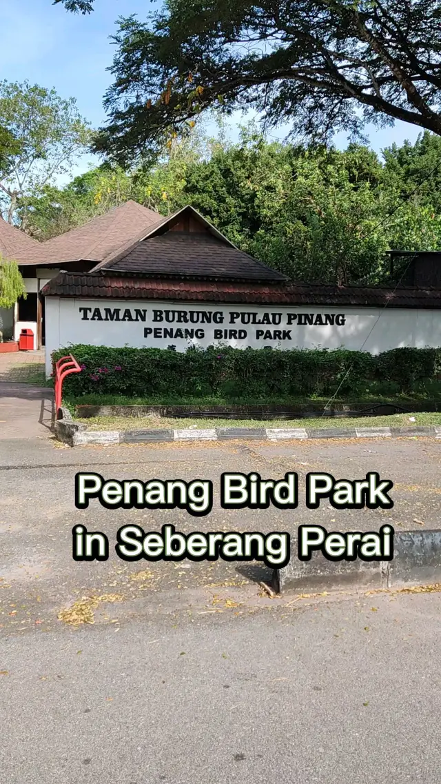 Amazing Scenery in Penang Bird Park
